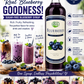 Green Leaves Sugar-Free Blueberry Flavored Syrup 800 ml| Premium Gourmet Syrup for Coffee, Milk Tea, Smoothies, Cocktails & Desserts