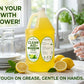 Clean Aid Premium Dishwashing Liquid Lemon Scent 1 Gallon (3.79L) | Tough on Grease, Gentle on Hands
