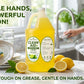 Clean Aid Premium Dishwashing Liquid Lemon Scent 1 Gallon (3.79L) | Tough on Grease, Gentle on Hands