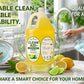 Clean Aid Premium Dishwashing Liquid Lemon Scent 1 Gallon (3.79L) | Tough on Grease, Gentle on Hands